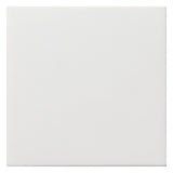 GIRA Zentralplatte Blindabd rws Fläche 0268112 Schraubbef