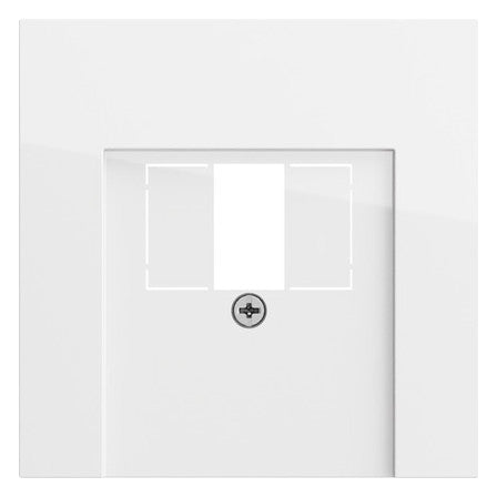 GIRA Zentralplatte USB/TAE 1f rws glz 027670 Schraubbef