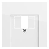 GIRA Zentralplatte USB/TAE 1f rws glz 027670 Schraubbef