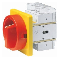 ELEKTRA Hauptschalter Not-Aus 33000220 D300HSF35DRG