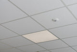 LEDVANCE LED-Panel 620x620mm 33W 4000K PL CMFT 625 P 33W 840 U19 ZBVR 4320lm