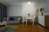 LEDVANCE LED-Anbauleuchte 10W ws Orbis Milan 305 mm 2XE27 WT