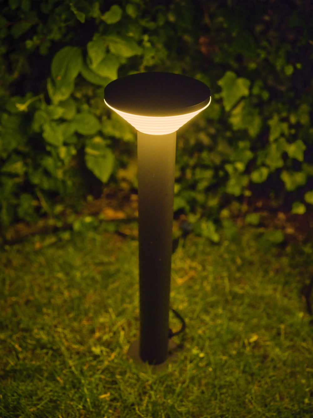 LEDVANCE LED-Pollerleuchte 2W IP44 3000K Endura Hybrid Olona 50cm 2W Dark Gr 140l