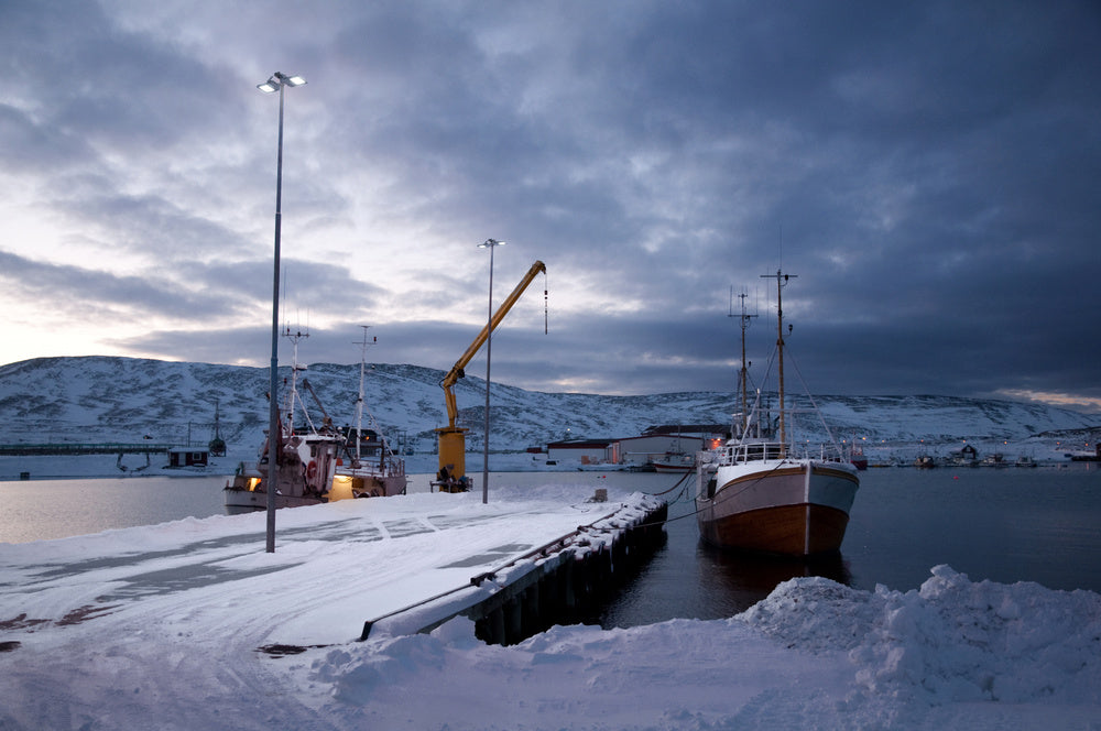 LEDVANCE LED-Anbaustrahler 450W Konv ws FL FLEX P 450W ML 830 A60X110 WAL 1LED