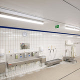 DOTLUX LED-EX-Schutzleuchte MISTRALex IP66 1572mm 27W 4000K IK10 Zone 2 & 22