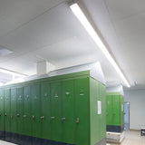 https://desk.syncspider.com/media/3887352/dotlux-led-feuchtraumleuchte-simply-ip54-1160mm-51w-4000k-ik10~4.jpg