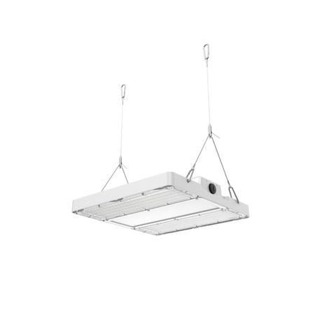 DOTLUX LED-Hallentiefstrahler LIGHTBEAM 150W 4000K 30*105°