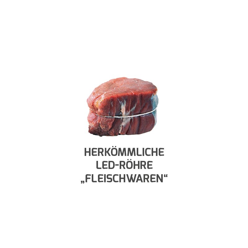 https://desk.syncspider.com/media/3884441/dotlux-led-roehre-lumenplus-120cm-15w-fleischfarbe-gefrostet-drehbare-endkappe~3.jpg