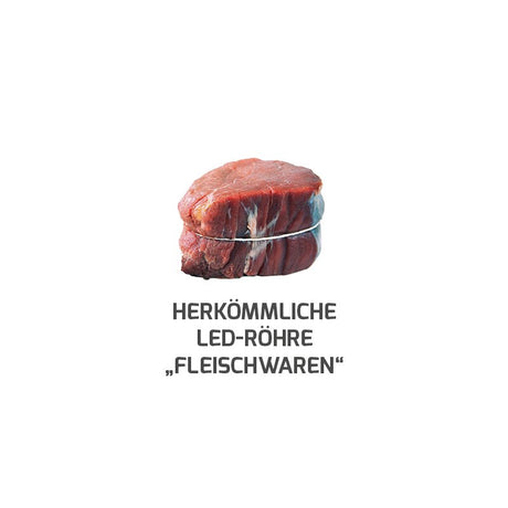 https://desk.syncspider.com/media/3884441/dotlux-led-roehre-lumenplus-120cm-15w-fleischfarbe-gefrostet-drehbare-endkappe~3.jpg