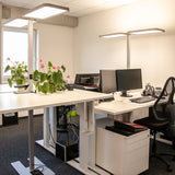 https://desk.syncspider.com/media/3884610/dotlux-led-stehleuchte-doppelkopf-studiobutlerduo-2x80w-4000k-dimmbar~3.jpg