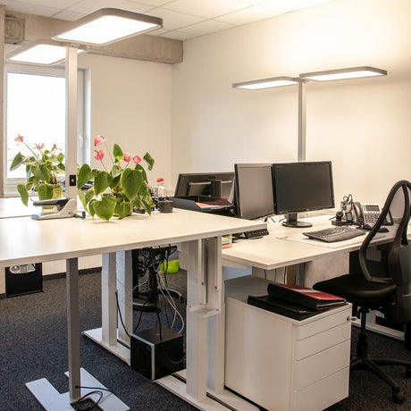 https://desk.syncspider.com/media/3884610/dotlux-led-stehleuchte-doppelkopf-studiobutlerduo-2x80w-4000k-dimmbar~3.jpg