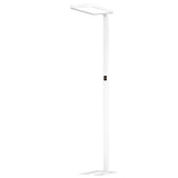 https://desk.syncspider.com/media/3885248/dotlux-led-stehleuchte-studiobutler-80w-4000k-dimmbar-weiss.jpg