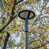 https://desk.syncspider.com/media/3888782/dotlux-led-strassenleuchte-plaza-100w-3000k-1-10v-dimmbar-powerselect~4.jpg