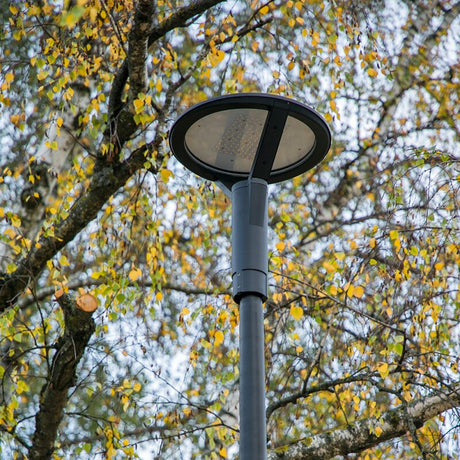 https://desk.syncspider.com/media/3888782/dotlux-led-strassenleuchte-plaza-100w-3000k-1-10v-dimmbar-powerselect~4.jpg