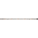 DOTLUX LED-Streifen 48W 10mm 2700K IP66 5m-Rolle inkl. 50cm Anschlusskabel beidseitig