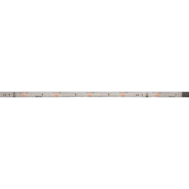 DOTLUX LED-Streifen 48W 10mm 2700K IP66 5m-Rolle inkl. 50cm Anschlusskabel beidseitig