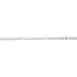 DOTLUX LED-Streifen 96W 14mm RGBW IP66 5m-Rolle inkl. 50cm Anschlusskabel beidseitig