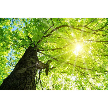 DOTLUX Motivplatte SKYLIGHT für Einbaupanels Motiv 1 Raster 1x1 für 620x620