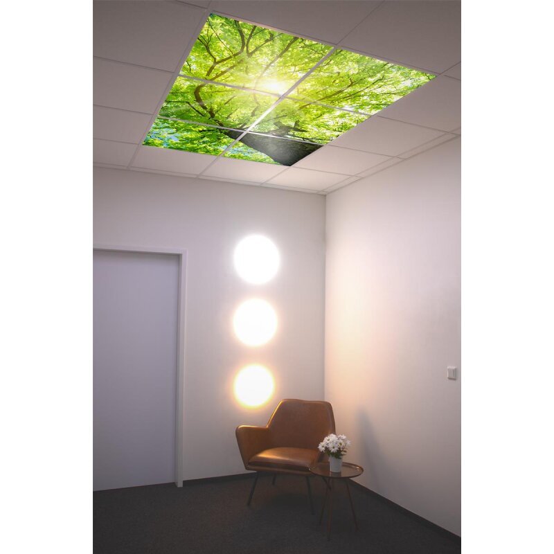 DOTLUX Motivplatte SKYLIGHT für Einbaupanels Motiv 1 Raster 1x1 für 620x620