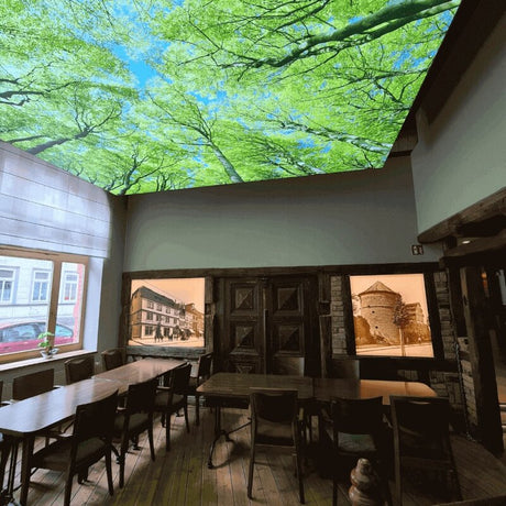 DOTLUX Motivplatte SKYLIGHT für Einbaupanels Motiv 1 Raster 1x1 für 620x620