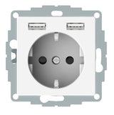 Foto: Steckdoseneinsatz USB Ladegerät 2,4A, reinweiß, Steckklemme