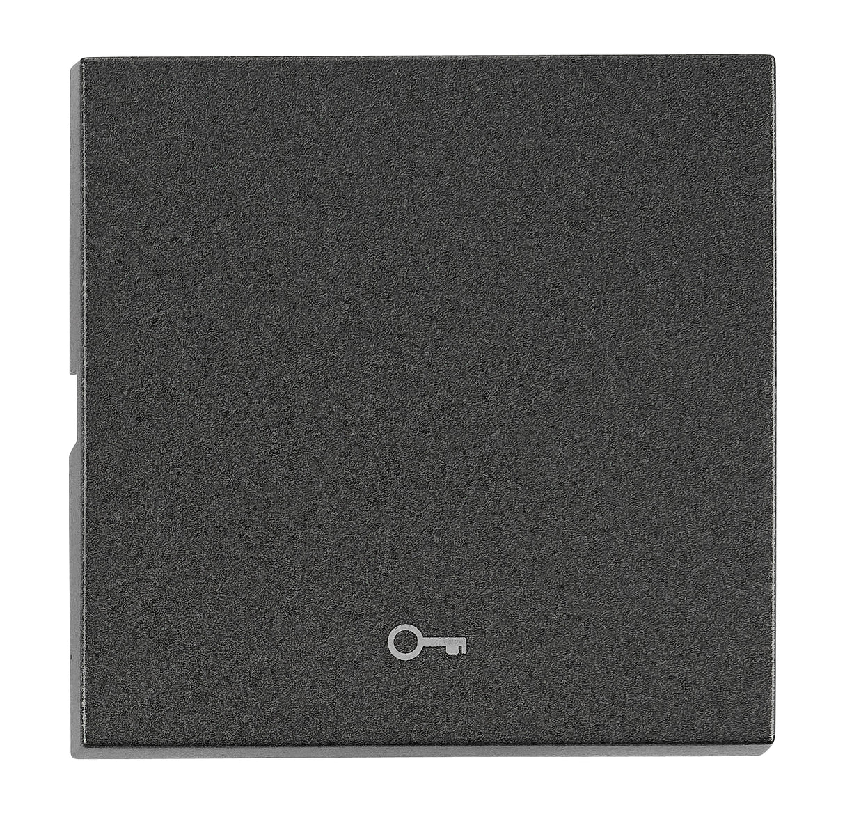 Wippe S 50 mit Symbol Schlüssel, anthrazit