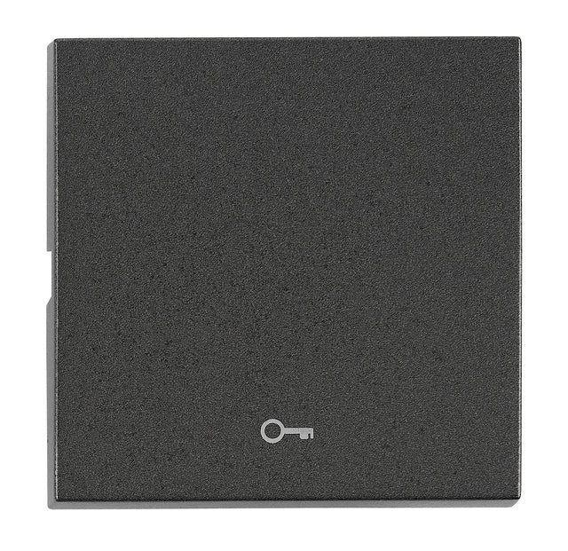Wippe S 50 mit Symbol Schlüssel, anthrazit