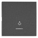 Wippe S 50 mit transparenter Linse, Symbol Licht, anthrazit