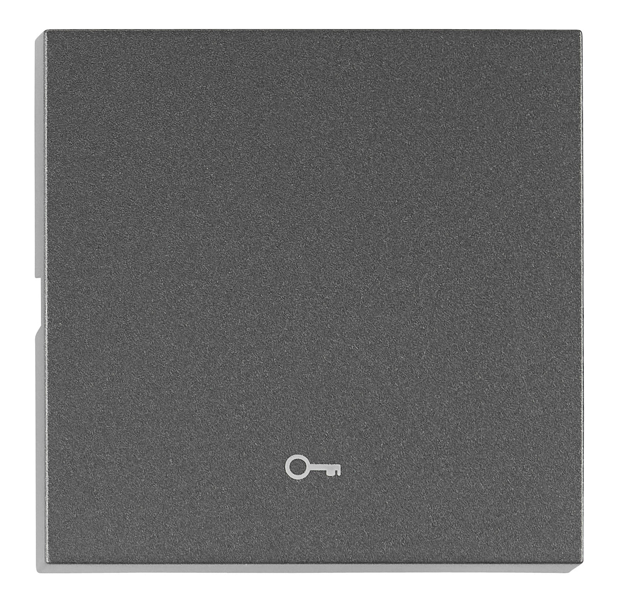 Wippe S 55 mit Symbol Schlüssel, anthrazit