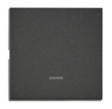 Wippe S 55 mit transparenter Linse, anthrazit