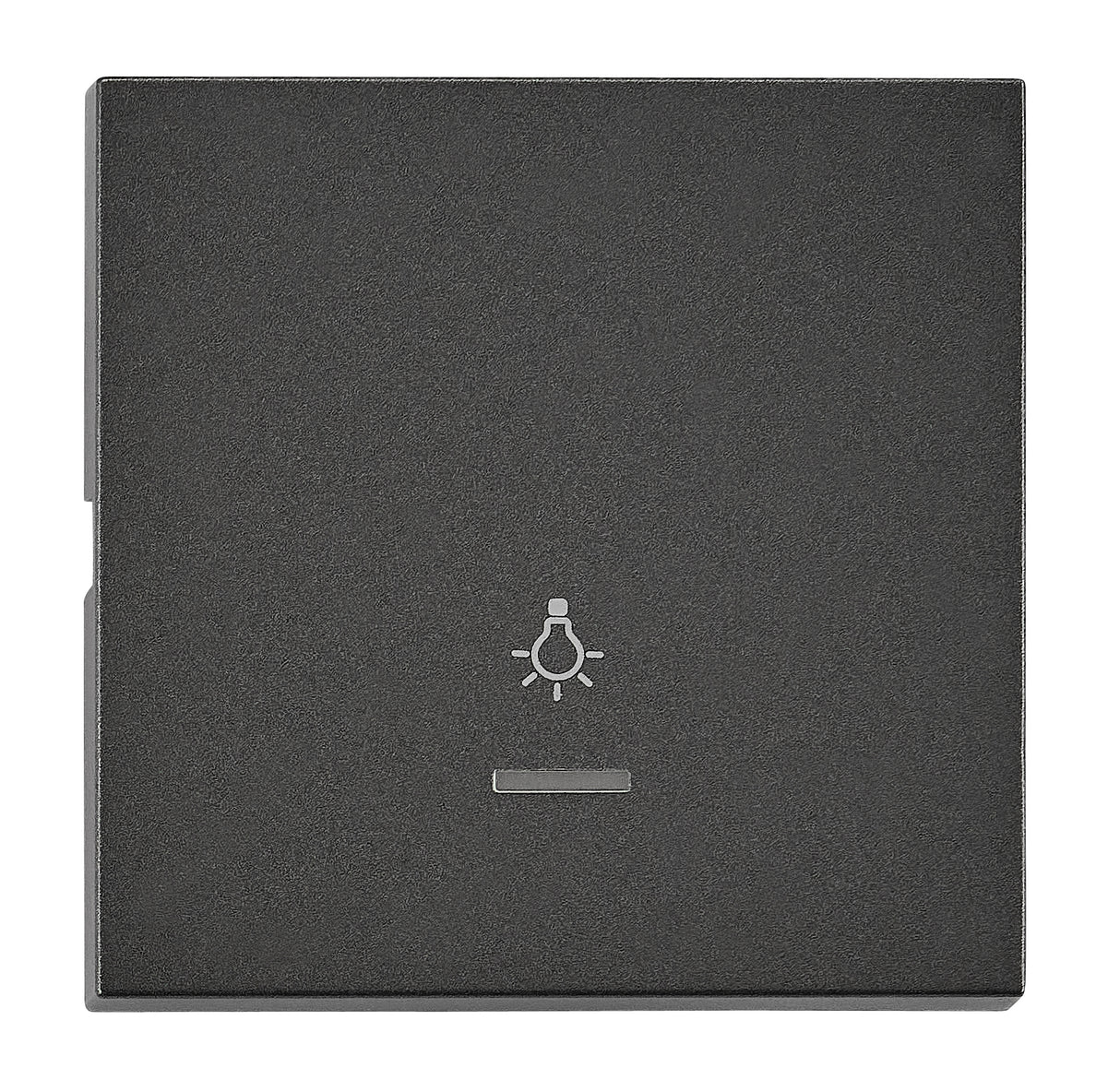 Wippe S 55 mit transparenter Linse, Symbol Licht, anthrazit