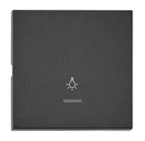 Wippe S 55 mit transparenter Linse, Symbol Licht, anthrazit