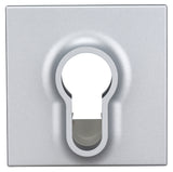 Abdeckung für Schlüsselschalter, Silber