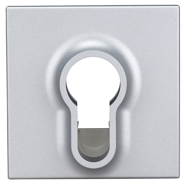 Abdeckung für Schlüsselschalter, Silber