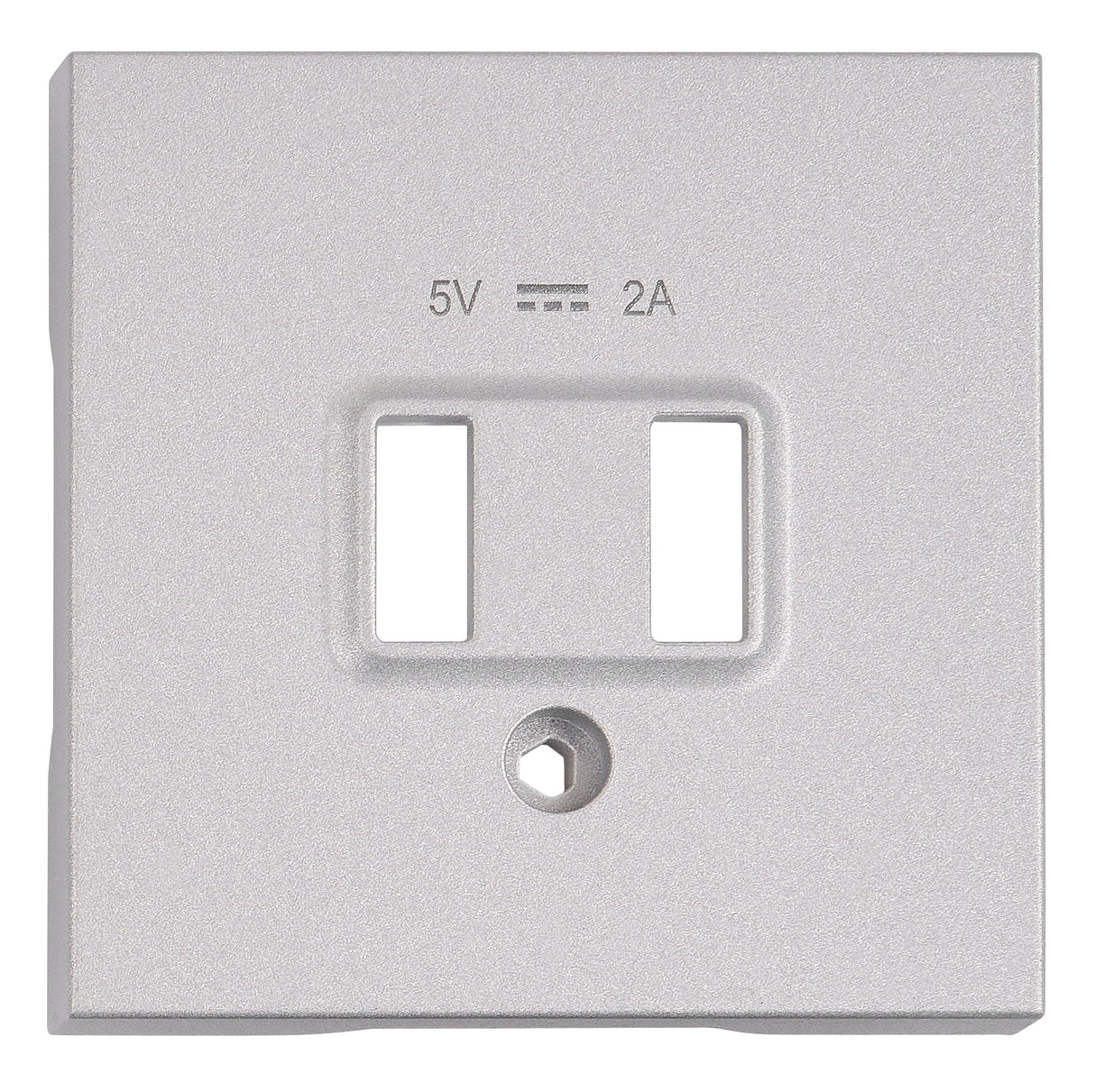 USB Ladesteckdosen-Abdeckung, Silber