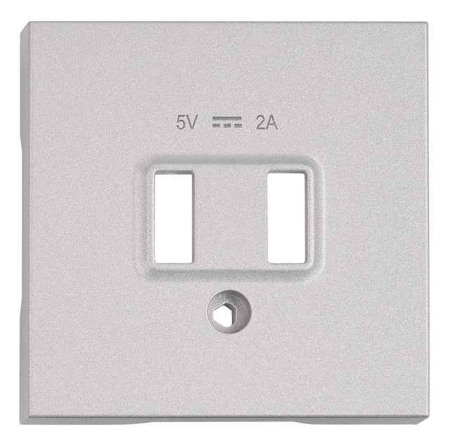 USB Ladesteckdosen-Abdeckung, Silber