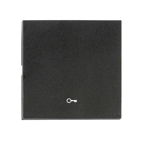 Wippe S 55 mit Symbol Schlüssel, schwarz, matt