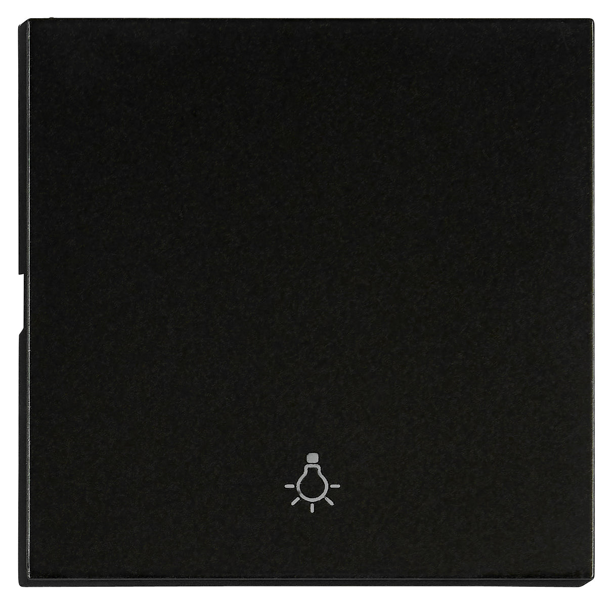 Wippe S 55 mit Symbol Licht, schwarz, matt