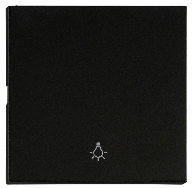 Wippe S 55 mit Symbol Licht, schwarz, matt