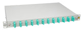 Foto: LWL Spleißbox, 4Fasern, SC 50/125µm OM3, 19", 1HE, Klasse C