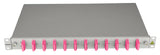 LWL Spleißbox, 4Fasern, SC 50/125µm OM4, 19", 1HE, Klasse C