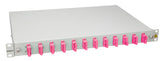 Foto: LWL Spleißbox, 12Fasern, SC 50/125µm OM4, 19", 1HE, Klasse C