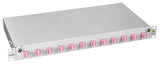 Foto: LWL Spleißbox, 24Fasern, LC,50/125µm OM4, 19", 1HE, Klasse B