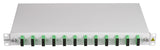 LWL Spleißbox, 24Fasern, SC/APC 9/125µm OS2,19",1HE,Klasse C