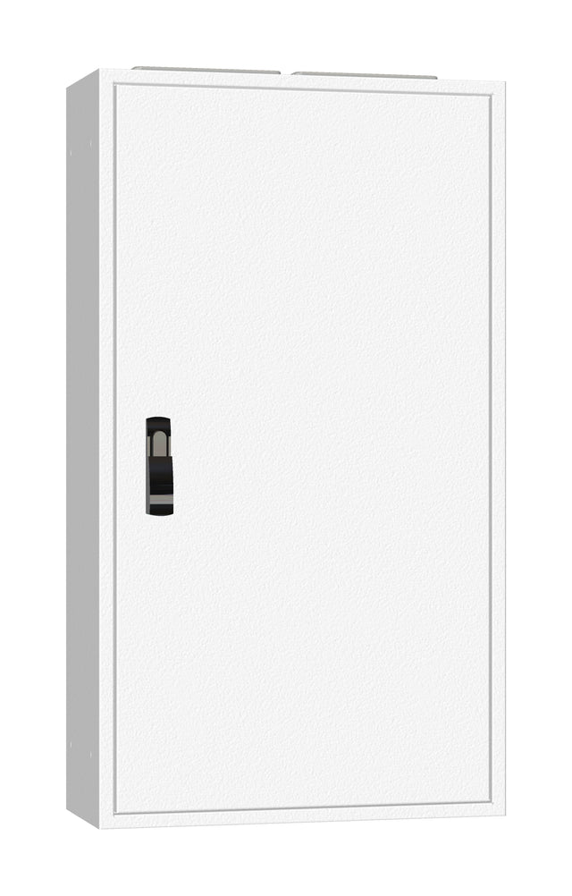 AP-Rahmen + Tür 2A-21 T=250mm, Rückwand + Schwenkhebel, IP54