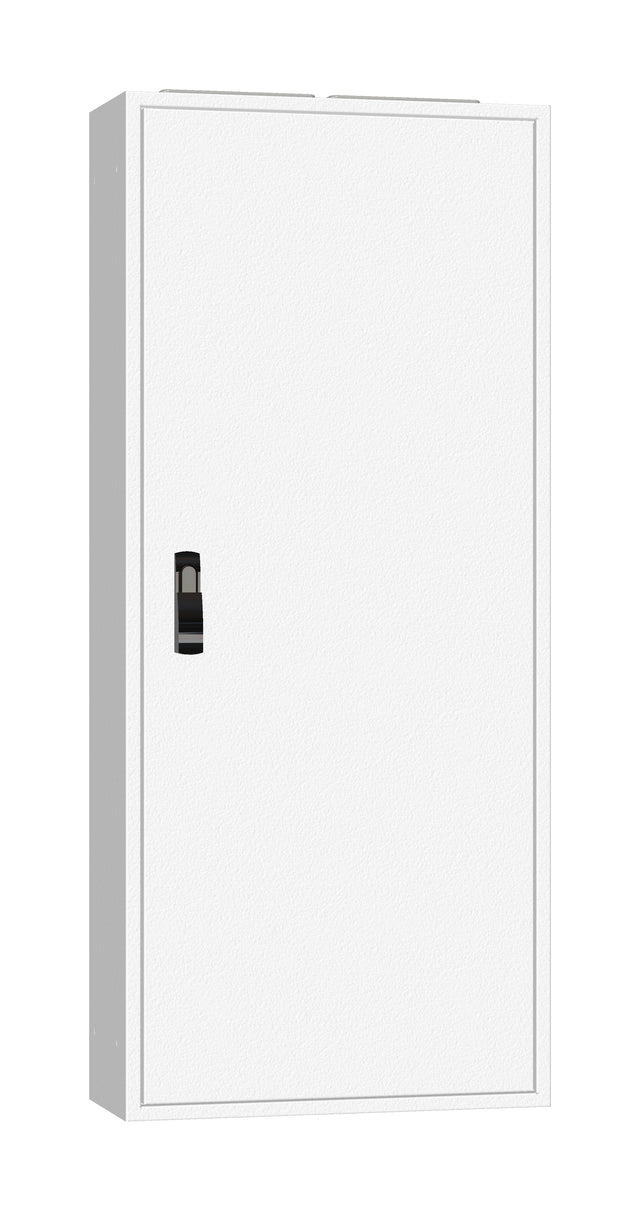 AP-Rahmen + Tür 2A-28 T=250mm, Rückwand + Schwenkhebel, IP54