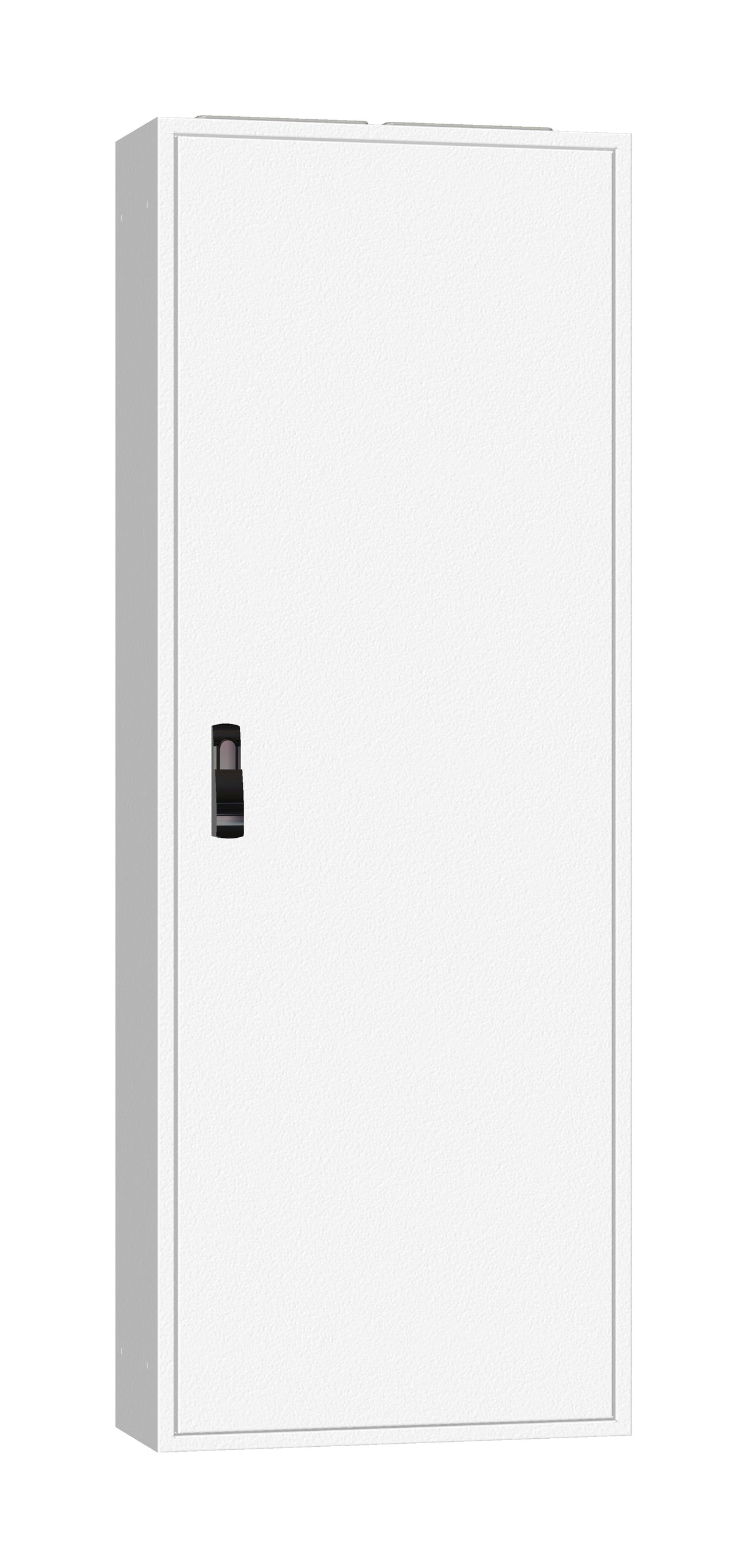 AP-Rahmen + Tür 2A-33 T=250mm, Rückwand + Schwenkhebel, IP54
