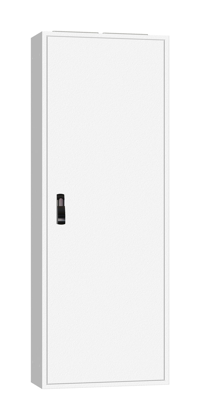 AP-Rahmen + Tür 2A-33 T=250mm, Rückwand + Schwenkhebel, IP54