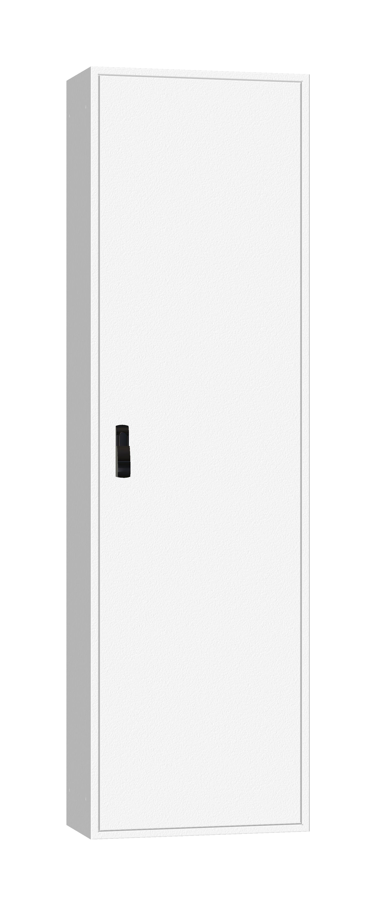 AP-Rahmen + Tür 2A-42 T=300mm, Rückwand + Schwenkhebel, IP54