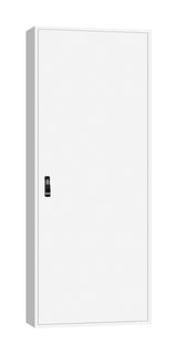 AP-Rahmen + Tür 3A-42 T=300mm, Rückwand + Schwenkhebel, IP54